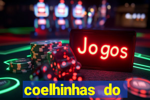 coelhinhas do brasil acompanhantes